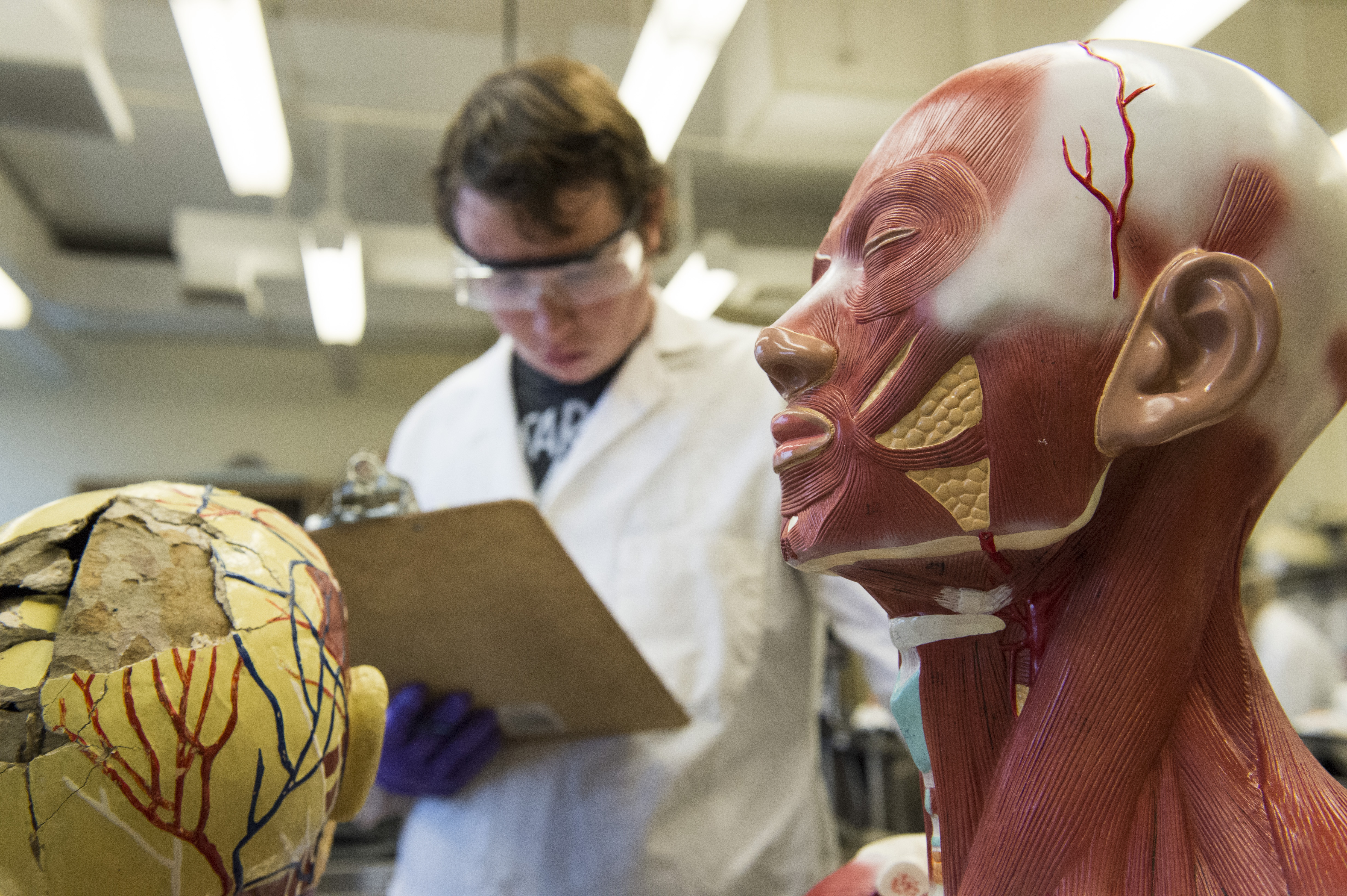 Pre-Med Student Studying Human Anatomy