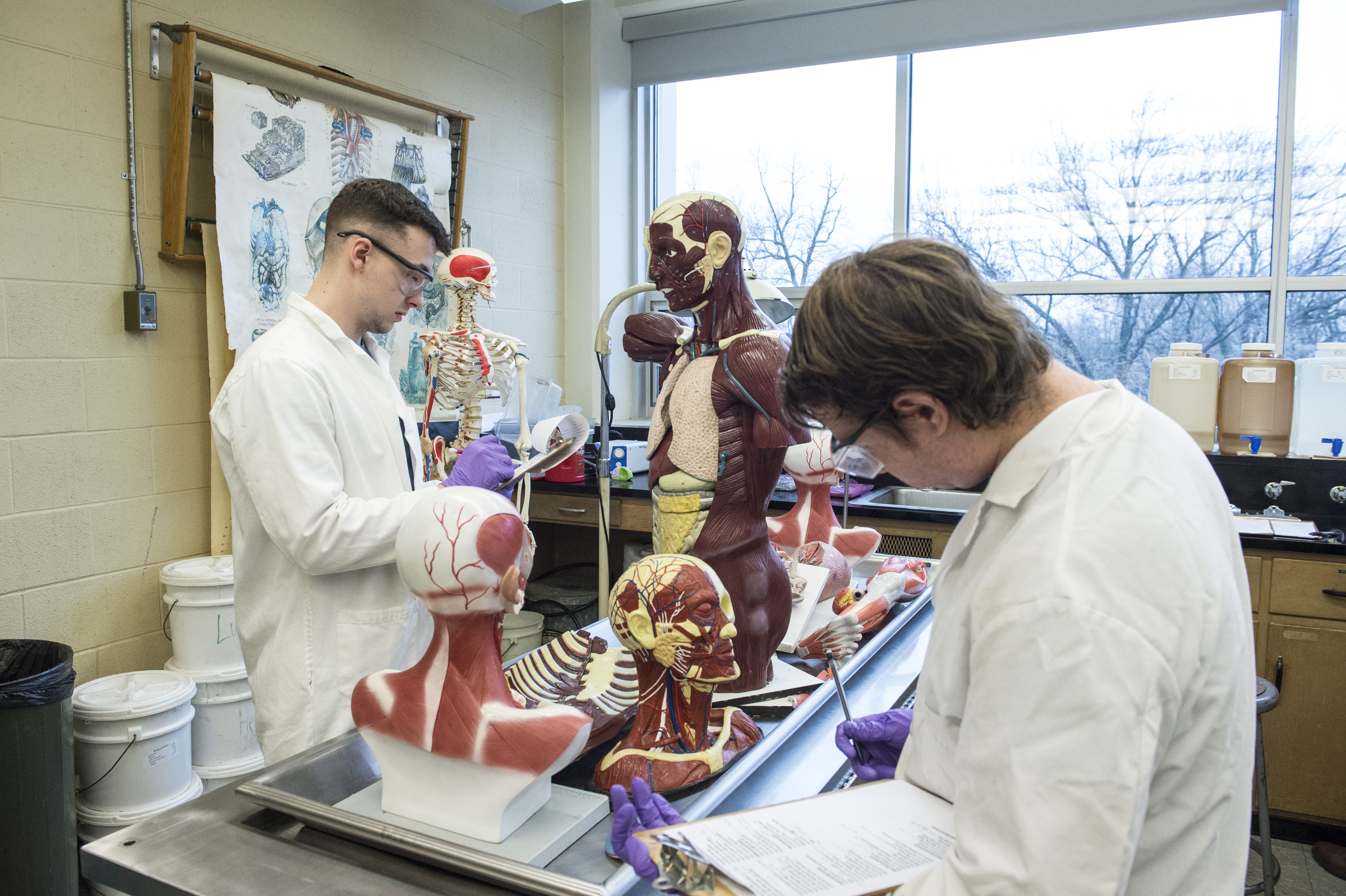 students studying physiology