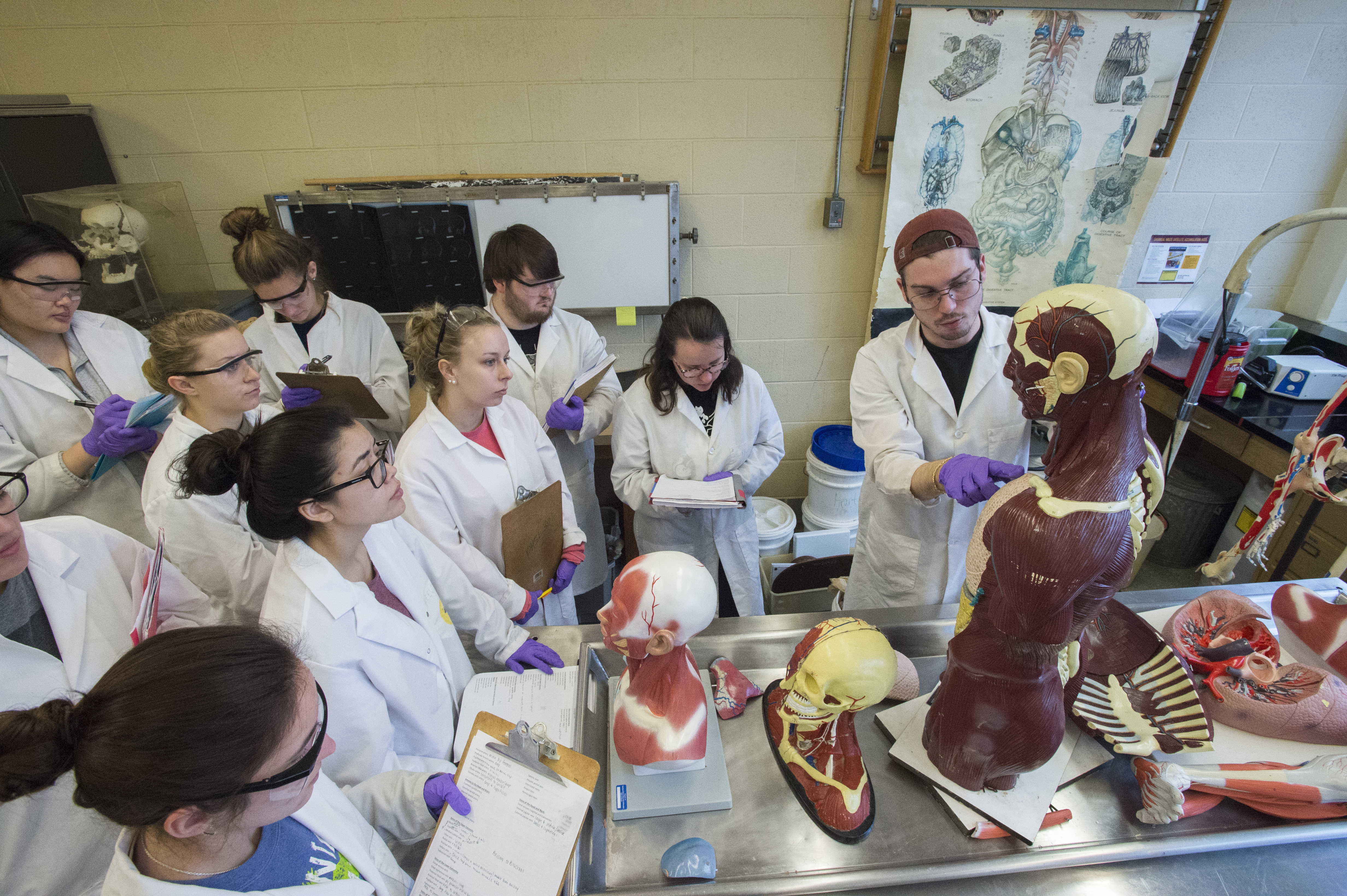 Students Learning Anatomy